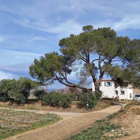 Rieux-Minervois Domaine Saint Augustinヴィラ エクステリア 写真
