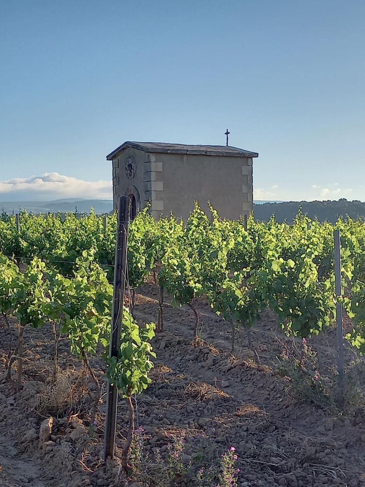 Rieux-Minervois Domaine Saint Augustinヴィラ エクステリア 写真