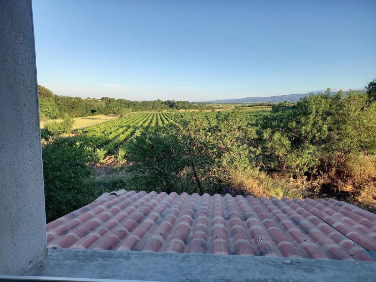 Rieux-Minervois Domaine Saint Augustinヴィラ エクステリア 写真