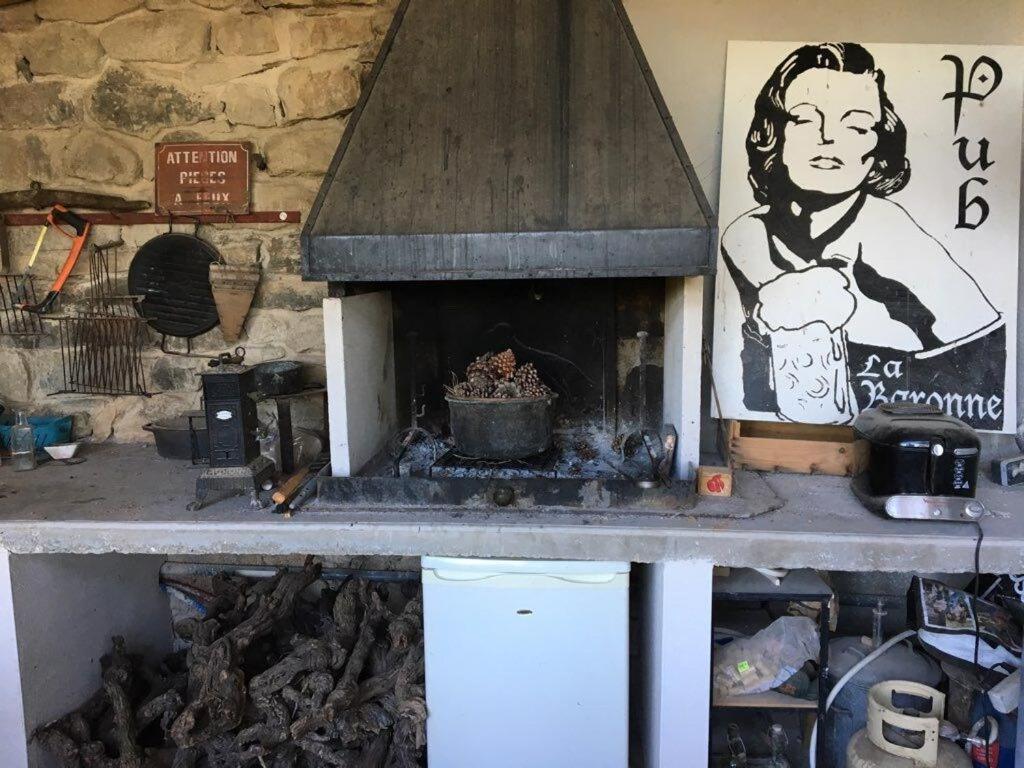 Rieux-Minervois Domaine Saint Augustinヴィラ エクステリア 写真